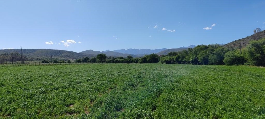 0 Bedroom Property for Sale in Oudtshoorn Rural Western Cape